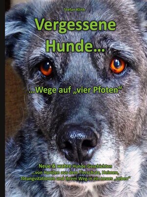 cover image of Vergessene Hunde
